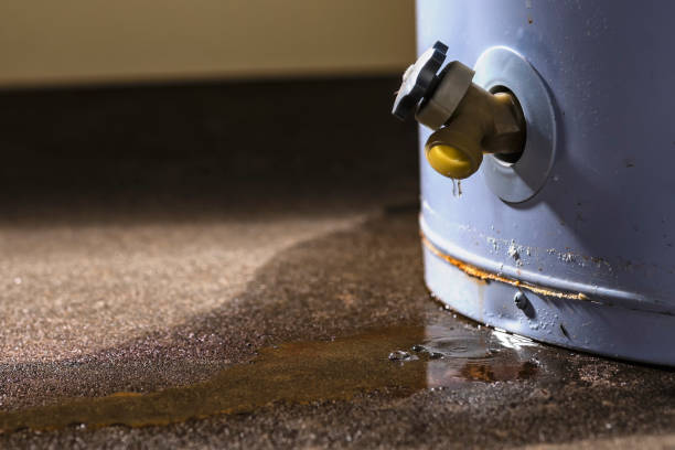 Best Mold removal after water damage  in Smithville, TX