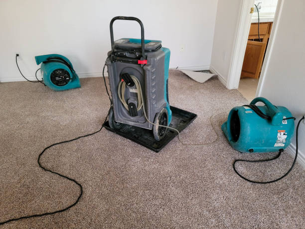 Best Water damage restoration near me  in Smithville, TX