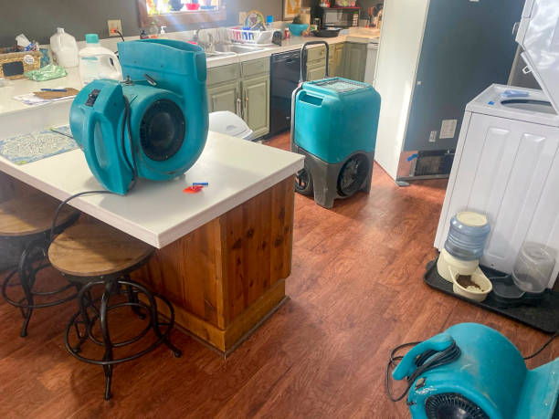 Best Water damage restoration company  in Smithville, TX