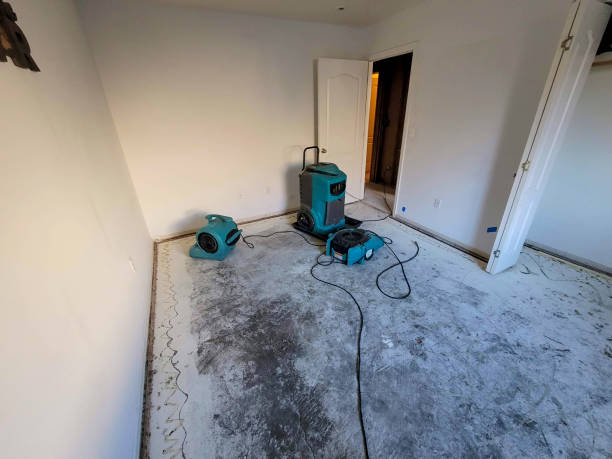 Best Emergency water damage restoration  in Smithville, TX